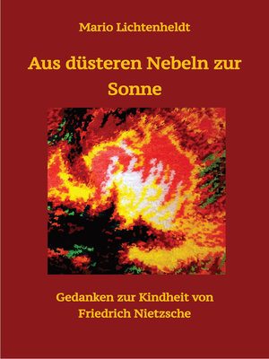 cover image of Aus düsteren Nebeln zur Sonne